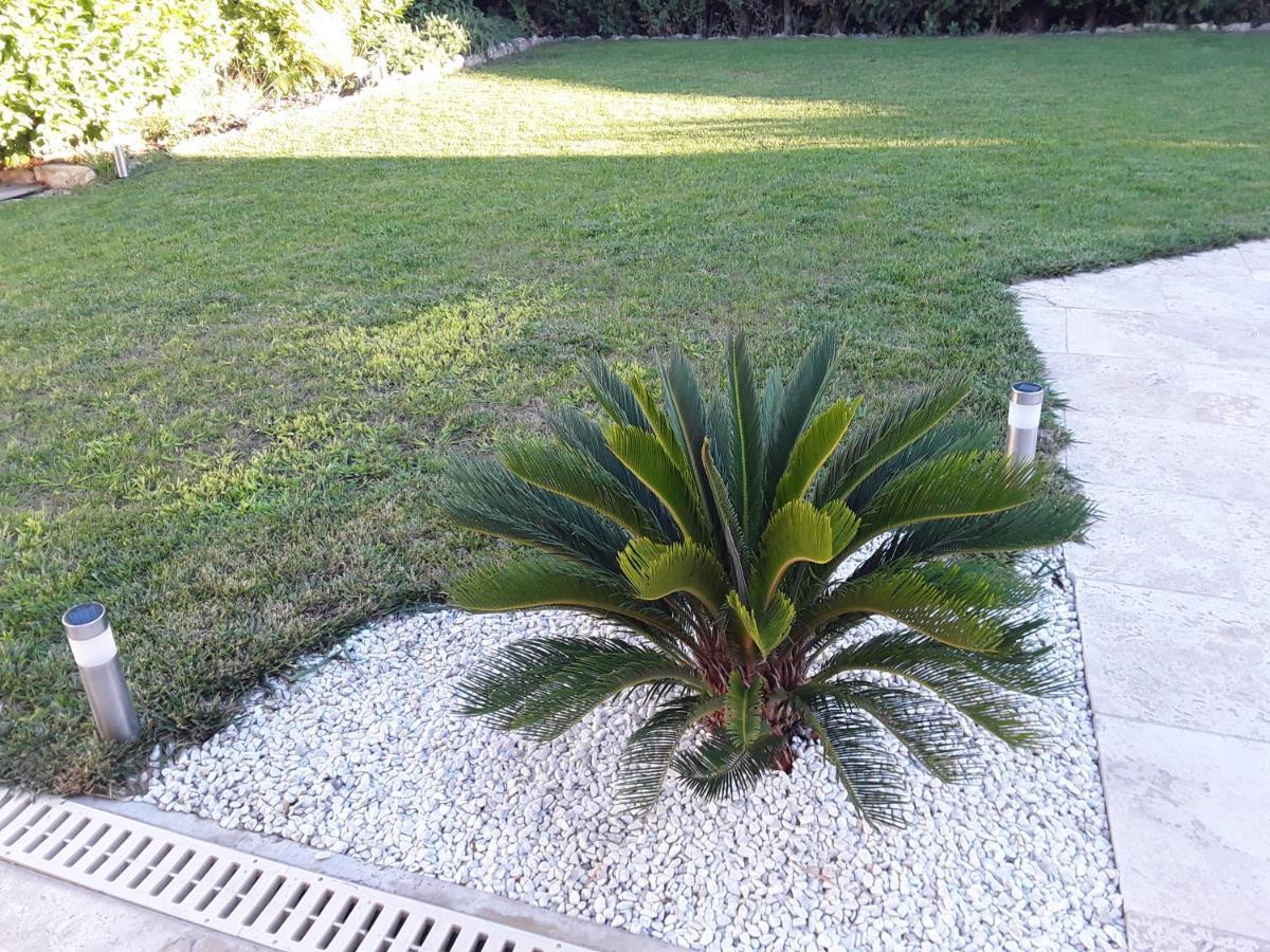 Yofanto Apartment Senas Exterior photo